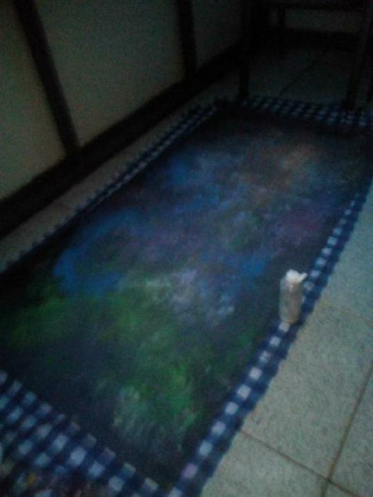 1087_img_20170517_214453_optimized